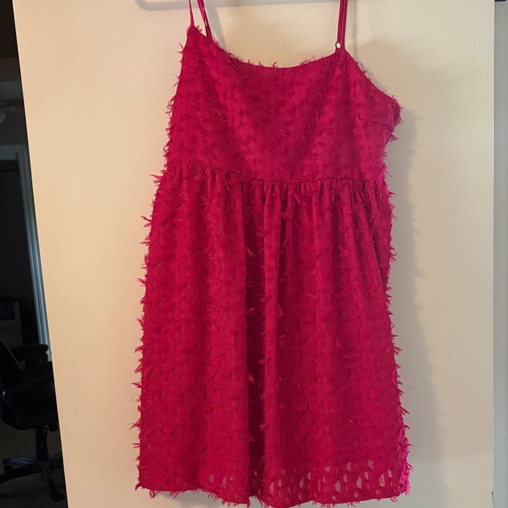 Wild Fable Pink Feather Textured Dress